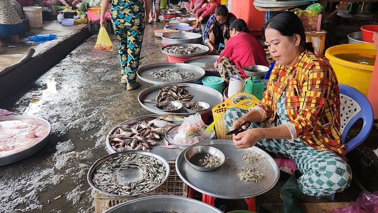 Cá linh đầu mùa lũ đã về chợ ở An Giang, giá tới 250.000 đồng/kg
