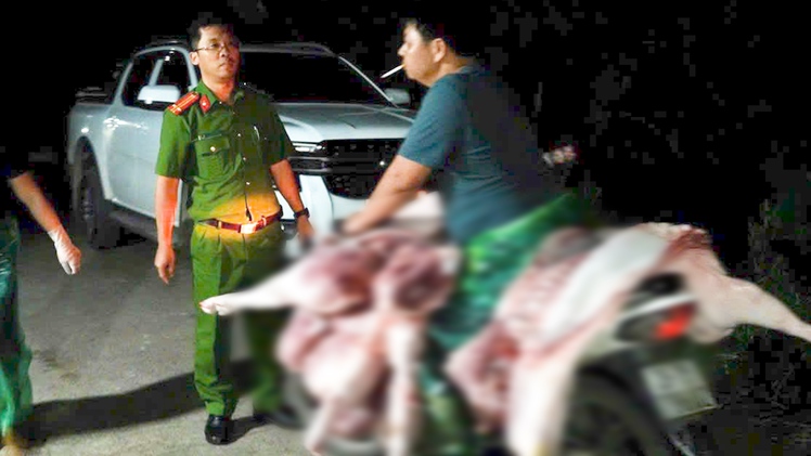 Đường dây thu gom heo bệnh mỗi ngày giết mổ hơn 50 con tuồn ra chợ, nhà hàng ở Hà Nội