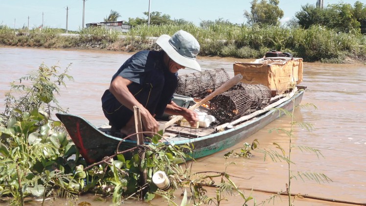 Góc nhìn trưa nay: Bắt cua đồng mùa nước nổi