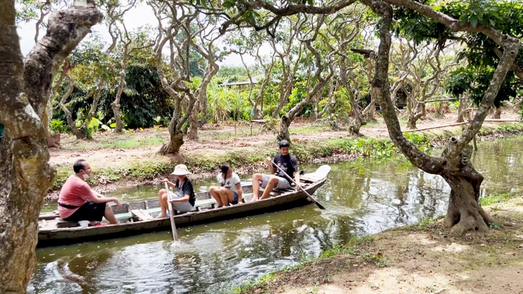 Góc nhìn trưa nay | Thú vị làm du lịch cộng đồng từ gốc nhãn tuổi đời nửa thế kỉ ở Cần Thơ