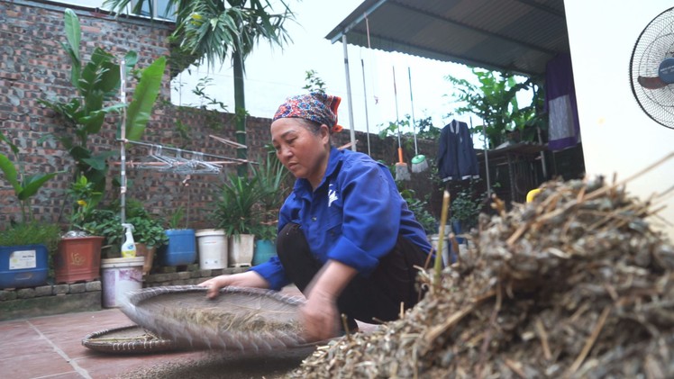 Bà nội đi làm thuê nuôi ước mơ đại học cho cháu gái sau hàng loạt biến cố