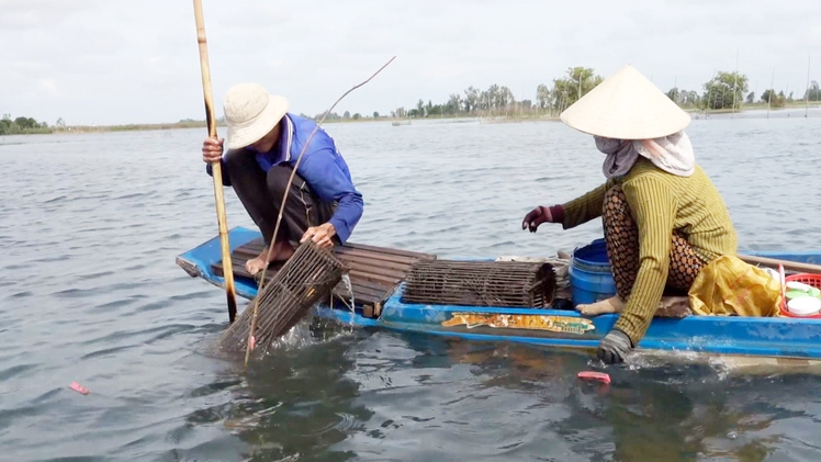 Góc nhìn trưa nay | Người dân miền Tây ‘săn’ sản vật mùa nước nổi