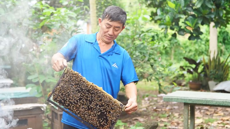 Góc nhìn trưa nay: Nâng tầm nghề nuôi ong truyền thống