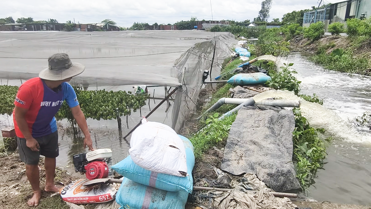 Nông dân Vĩnh Lộc huy động 5 máy bơm cứu vườn rau ngập nặng sau mưa