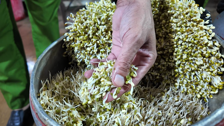Bên trong cơ sở dùng 'nước kẹo' làm giá đỗ bán ra chợ và quán ăn, vừa bị công an triệt phá