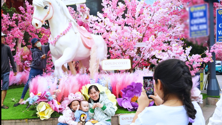 Ngựa hồng 'xuống phố', mang sắc xuân rộn ràng về trung tâm Nha Trang