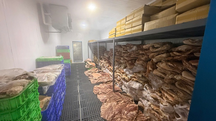 Triệt phá đường dây làm giả hơn 50 tấn thịt nhím, đà điểu, nai… từ thịt heo