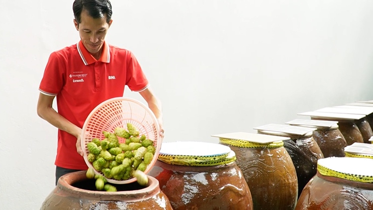 Người đàn ông bỏ phố về quê U Minh Hạ, kiếm 2 tỉ mỗi năm nhờ cây nhàu