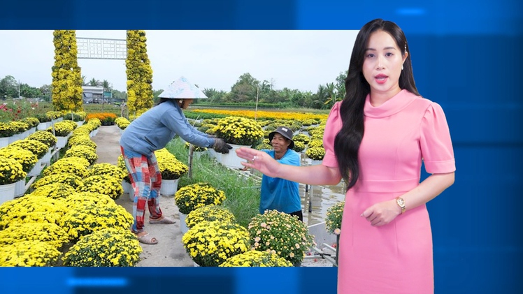 Thời tiết đêm 18 ngày 19-1: Thời tiết cả nước tiếp tục ấm nóng lên