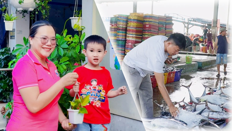 Góc nhìn trưa nay: Đổi pin đã sử dụng lấy cây xanh; Ngư dân Cà Mau trúng cá biển cuối năm