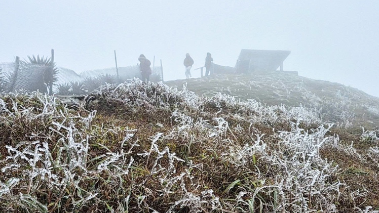 Hình ảnh băng giá ở Mẫu Sơn khi nhiệt độ giảm sâu dưới 0 độ C