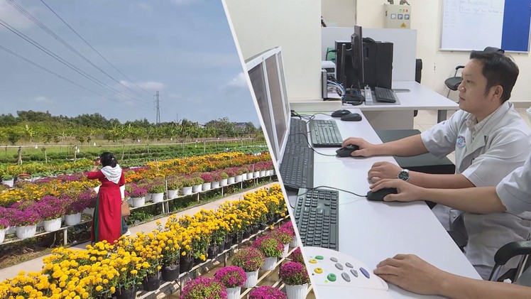 Góc nhìn trưa nay: Làng hoa Sa Đéc bừng sắc xuân; Phương pháp điều trị mới cho bệnh nhân ung thư