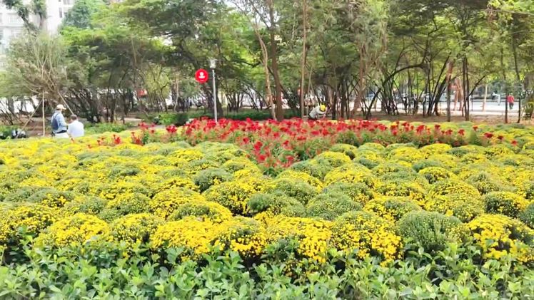 Cận cảnh công viên trên nền cũ nhà thi đấu Phan Đình Phùng TP.HCM sẽ mở cửa chiều nay 25-1