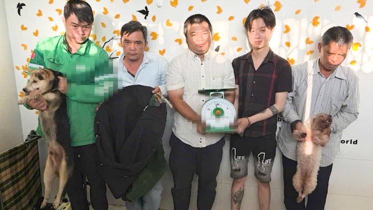 Bắt nhóm trộm cắp, tiêu thụ chó mèo ở phường Tân Hưng, TP.HCM