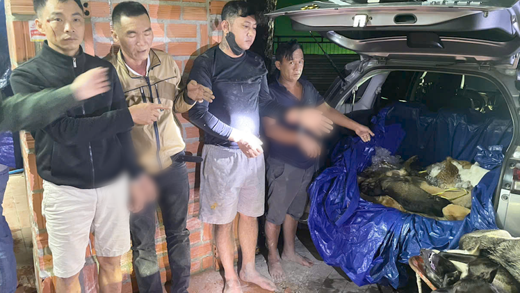 Cảnh sát 'đột kích' điểm giết mổ chó trộm ở Tây Ninh, tạm giữ hình sự 9 người