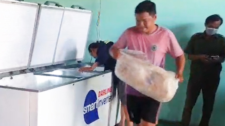 Phát hiện 2 tấn thịt heo đông lạnh không rõ nguồn gốc, biến đổi màu sắc