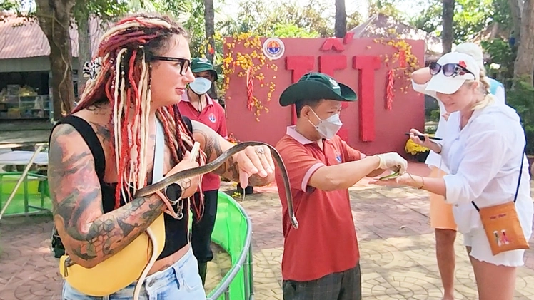 Đến Trại rắn Đồng Tâm vui chơi dịp Tết, biết thêm các loài rắn quý hiếm