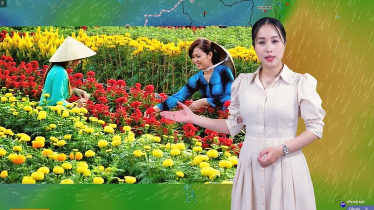 Thời tiết đêm 2 ngày 3-2: Bắc Bộ trời rét, mưa vài nơi; Nam Bộ và TP.HCM ngày nắng, đêm không mưa