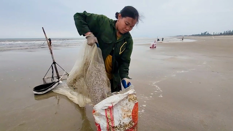 Hàng trăm người dân Hà Tĩnh ra bờ biển cào ốc tép, kiếm tiền triệu đầu năm