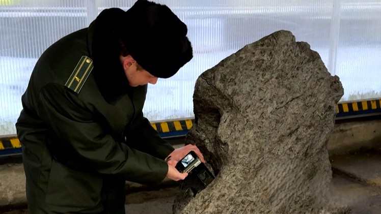 Nga chặn vụ buôn lậu khối thiên thạch hơn 2,5 tấn, được định giá 4,2 triệu USD