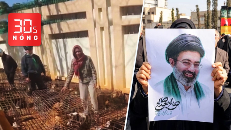 Bản tin 30s Nóng: 70 con chó nghi bị trộm nhốt tại lò mổ; Diễn biến mới chiến sự ở Iran