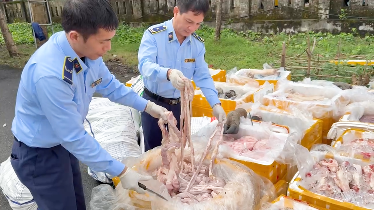 Phát hiện hơn 2,6 tấn nội tạng động vật không rõ nguồn gốc chở trên xe tải