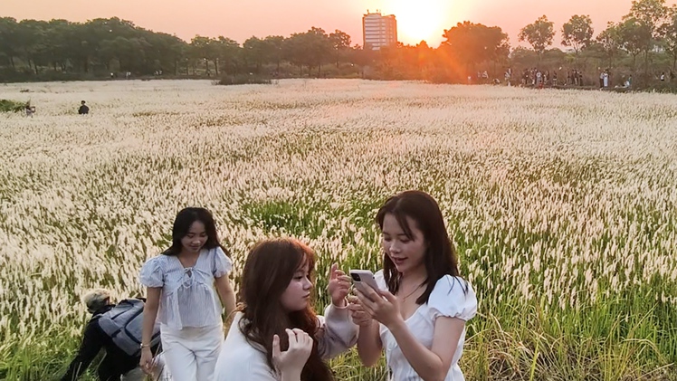 Đồng cỏ tại làng đại học ở TP.HCM thu hút nhiều bạn trẻ 'săn' hoàng hôn