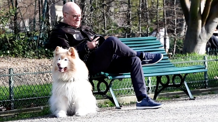 Chính sách dành cho thú cưng khiến cuộc đua thị trưởng Paris trở nên gay cấn