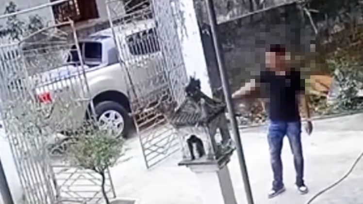 Chủ xe bán tải gây cản trở giao thông ở Nghệ An bị phạt 5 triệu đồng