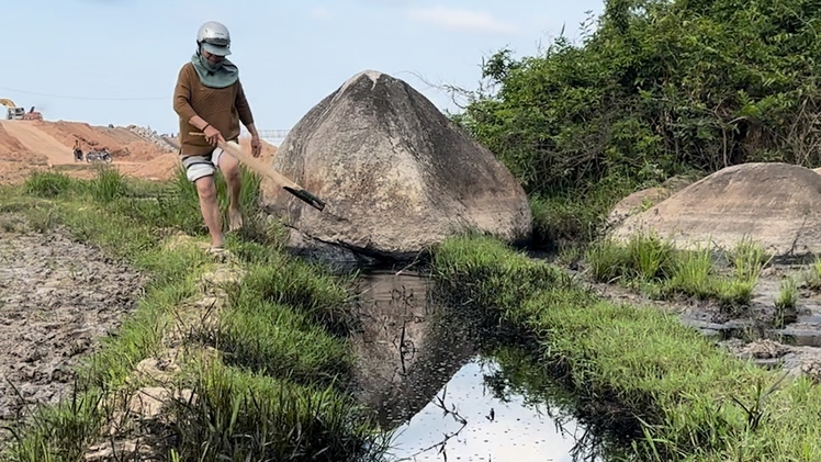 Nông dân ven cao tốc kêu cứu vì ruộng không nước tưới lại nhiễm dầu nhớt