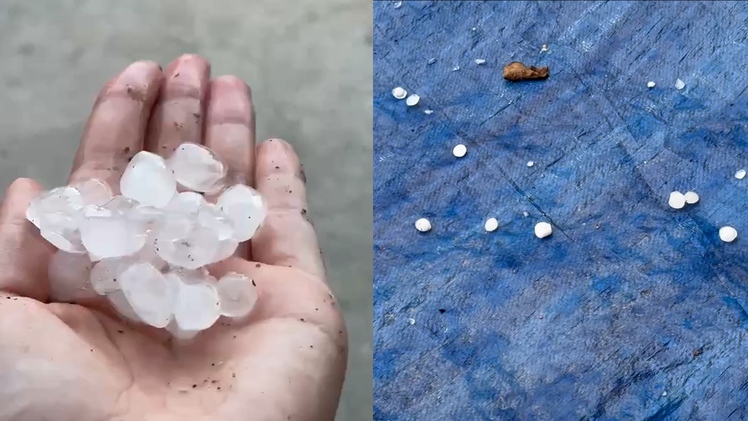 Video mưa đá lộp bộp trên mái nhà chiều nay tại Nghệ An