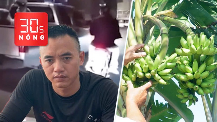 Bản tin 30s Nóng: Tạm giữ tài xế ô tô ép ngã xe máy chở trẻ em; Cây chuối trổ 2 buồng