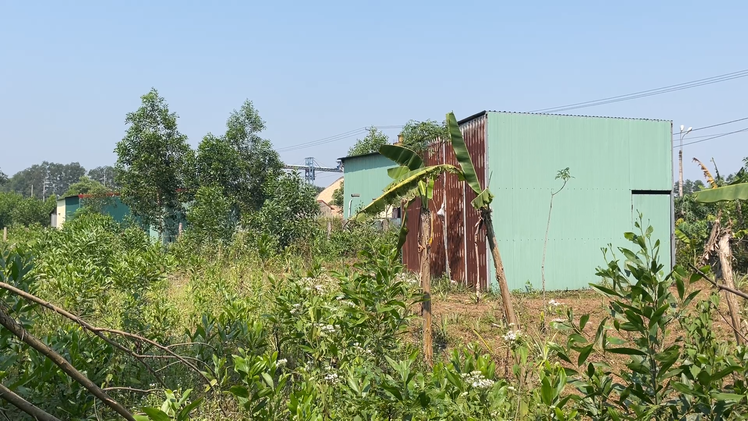Nhà tôn dựng trái phép thành 'nút thắt' giải phóng mặt bằng quốc lộ 15D ở Quảng Trị