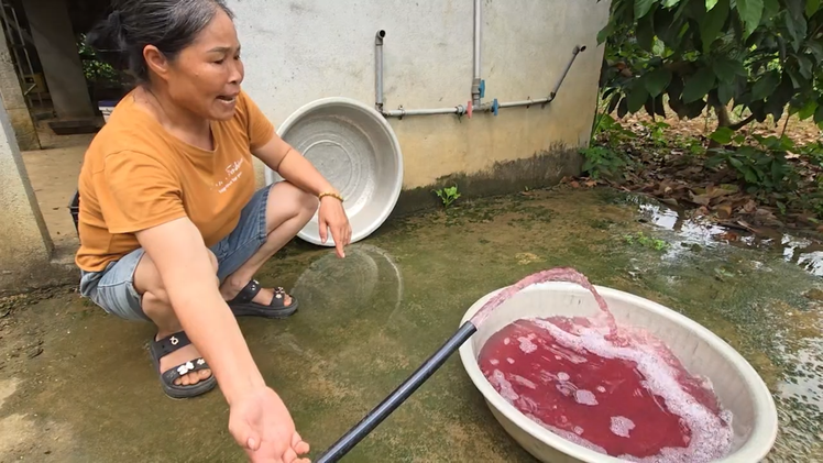 Lý do nước giếng sinh hoạt ở Thanh Hóa chuyển sang màu tím, có mùi hôi