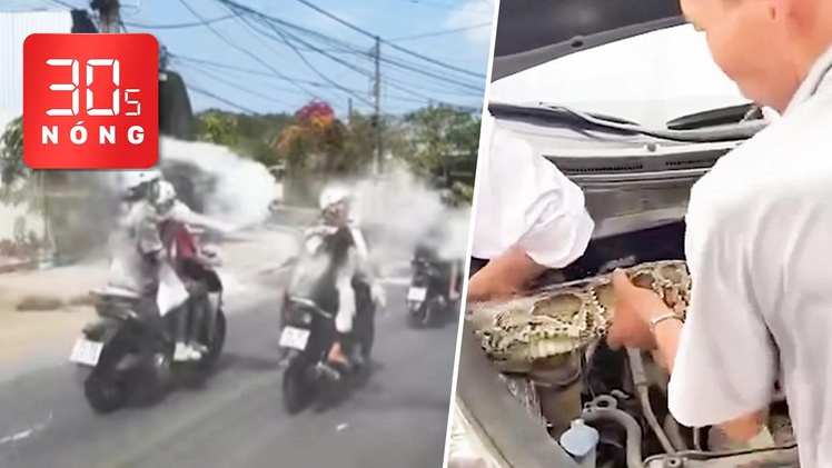 Bản tin 30s Nóng: Triệu tập nhóm ‘quái xế’ ném bột người đi đường; Trăn 10kg chui vào ô tô