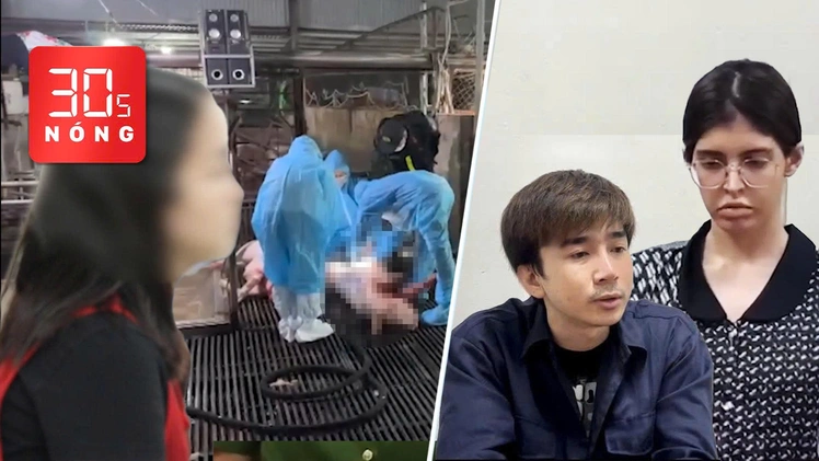Bản tin 30s Nóng: Truy tố ca sĩ Chi Dân, người mẫu An Tây; Diễn biến vụ 300 tấn heo bệnh