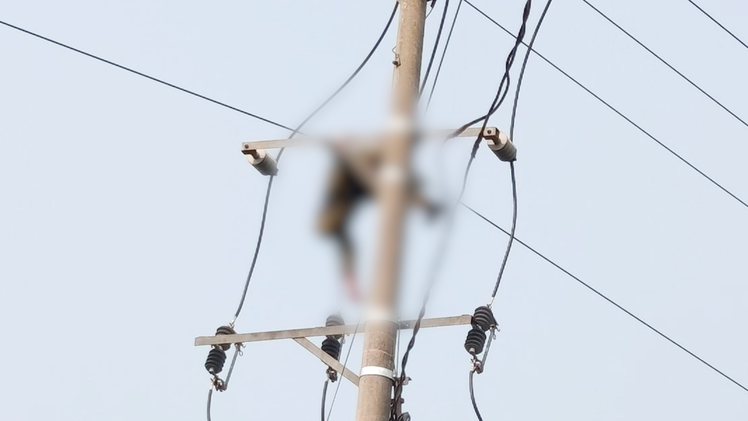 Một học sinh thiệt mạng, nghi bị điện giật khi trèo lên cột điện bắt ong