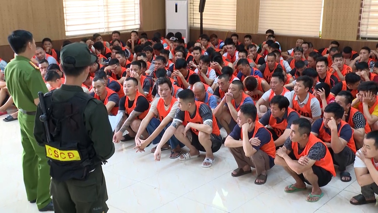 Khởi tố 196 người trong đường dây chọi gà xuyên quốc gia, số tiền giao dịch trên 1.200 tỉ