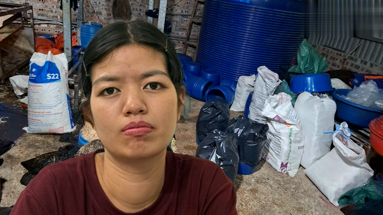 Người phụ nữ sản xuất hơn 500 tấn giá đỗ dùng hóa chất độc hại bị khởi tố