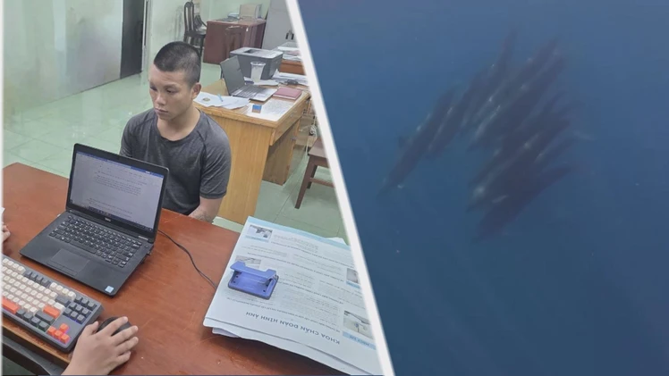 Góc nhìn trưa nay: Gần 100 con cá voi bơi qua vùng biển Phú Quý; Bắt khẩn cấp thanh niên đánh người sau va chạm