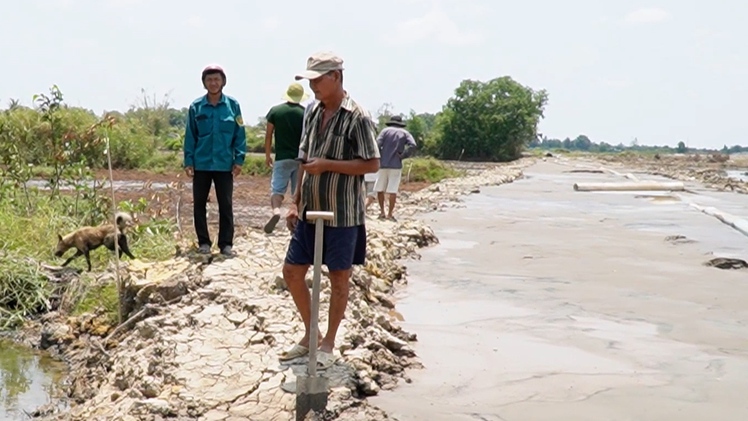 Cà Mau yêu cầu bồi thường vụ cá chết do thi công sân bay trước ngày 29-5