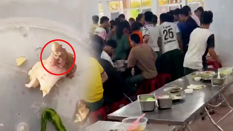 Sở Y tế TP Huế nói về vụ sinh viên phản ánh bữa ăn có gián, dòi