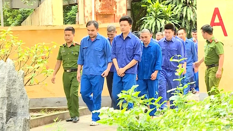 Khởi tố 23 bị can trong đường dây CakhiaTV, RakhoiTV xâm phạm bản quyền bóng đá