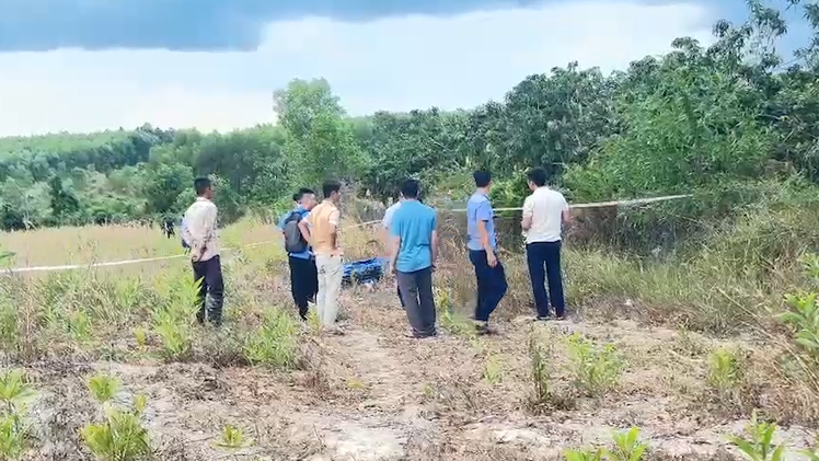 Công an điều tra vụ một phụ nữ tử vong trong vườn tràm ở Đồng Nai