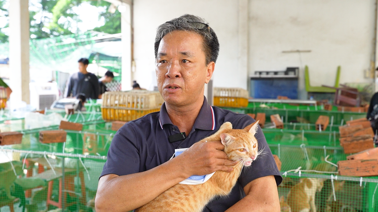 Mèo thất lạc trở về với chủ, nhiều người xúc động cảm ơn Công an TP.HCM