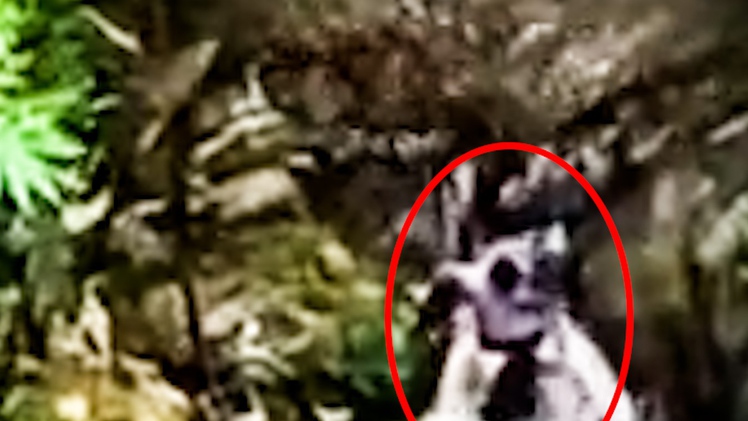 Dùng flycam truy vết, bắt nghi phạm trốn trong rừng sâu sau khi sát hại bé trai