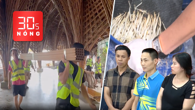 Bản tin 30s nóng: 'Xóa sổ’ vườn hoa The Peak ở Phú Quốc; Bắt nhóm dùng ‘nước kẹo’ ủ giá đỗ