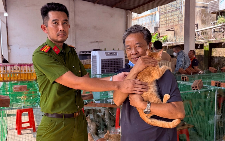 Ho Chi Minh City police call on owners to recover stolen cats after theft ring dismantled