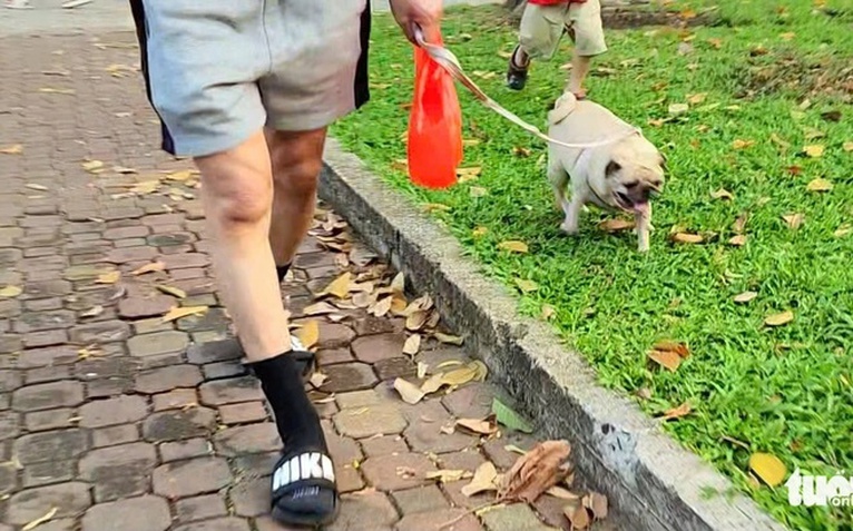 Người nuôi chó, mèo tại TP.HCM phải khai báo với UBND cấp xã, phường, đặc khu