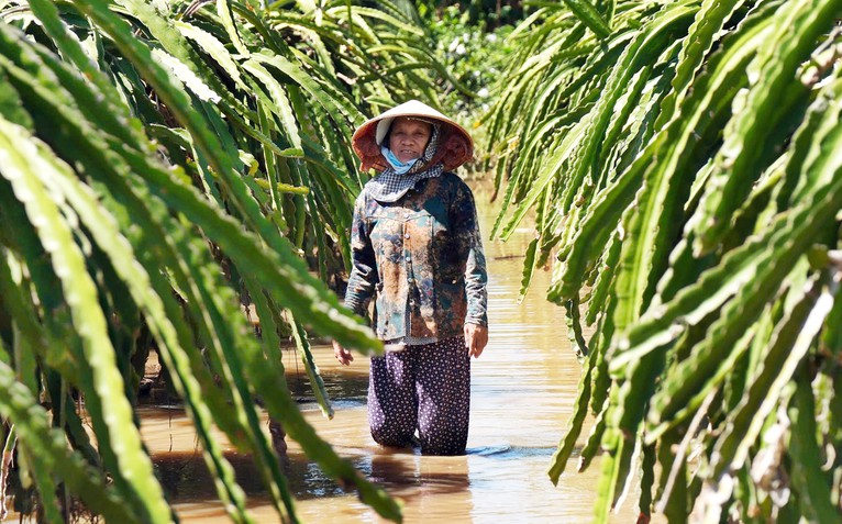 Dân thiệt hại nặng vì hồ xả lũ, công ty không có tiền đền